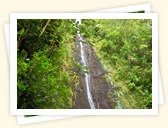 Manoa Falls