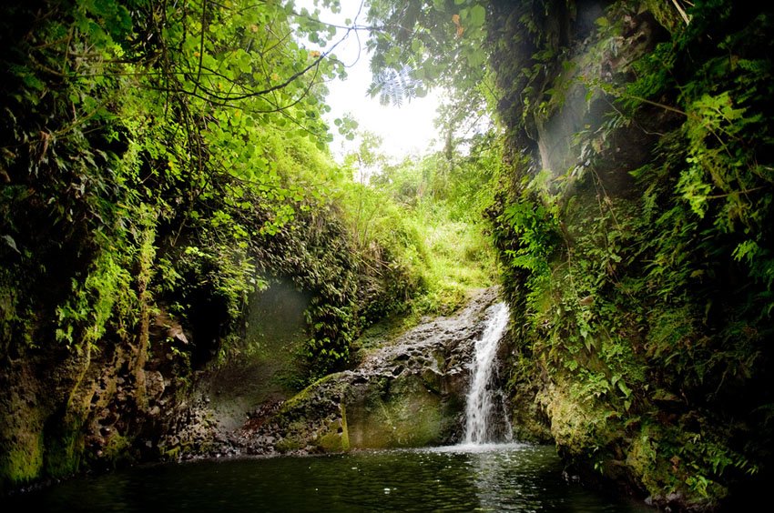 Maunawili Falls