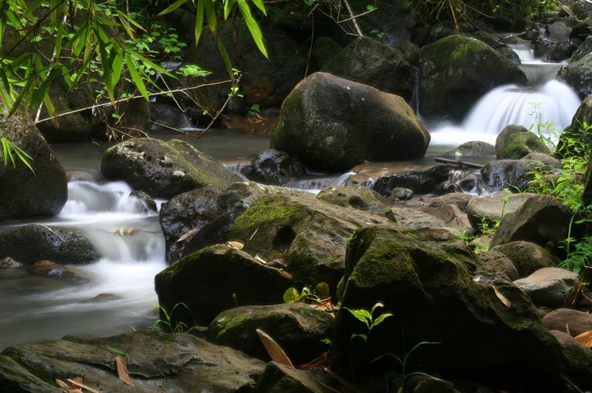 Maunawili Stream