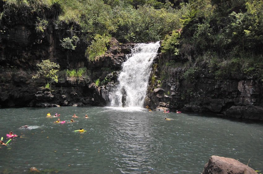 People swimming in the pool