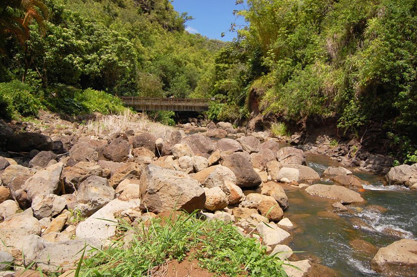 Waimea Valley