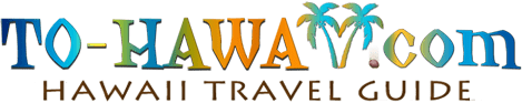 To Hawaii Logo